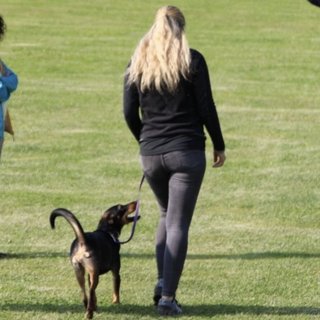 Foto von Lou; Hund