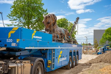 Volksgarten Neu Pferdeskulptur Mai 2026