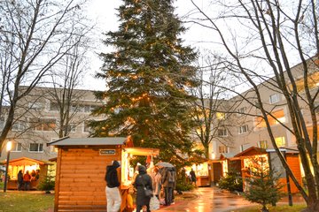 Adventmarkt Noitzmühle