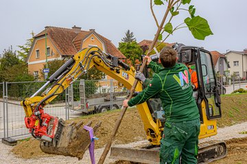 Stadtgärtnerei Frühling 2026