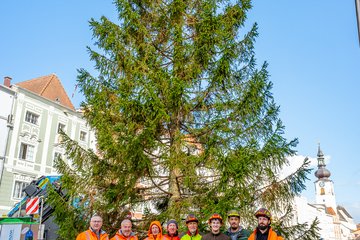 Christbaum Stadtplatz 2026