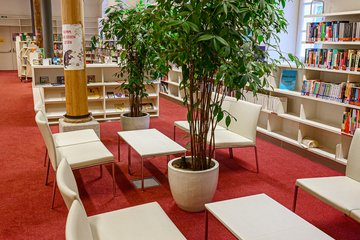 Stadtbücherei Wels