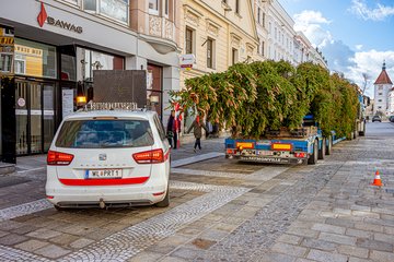 Christbaum Stadtplatz 2026