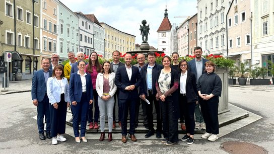 Stadtregion Wels Leerstand Schäfer