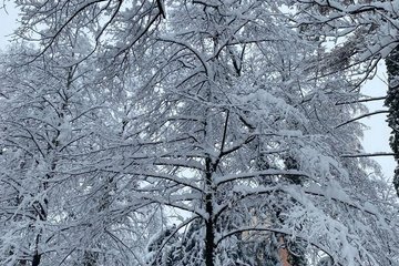 Winterdienst