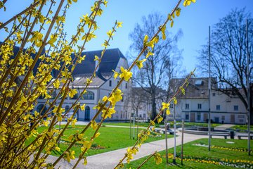 Stadtgärtnerei Frühling 2026