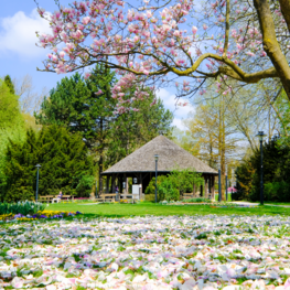 Volksgarten mit Grenadierwerk im Frühling