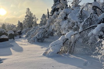 Schnee Friedhof