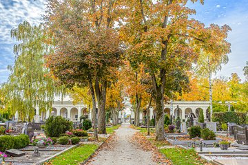 Friedhof Wels