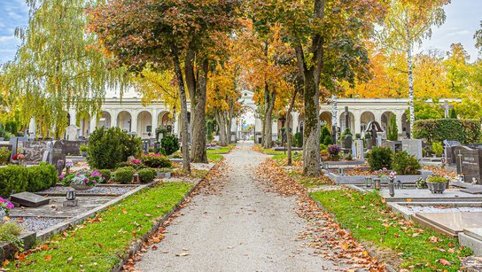 Friedhof 