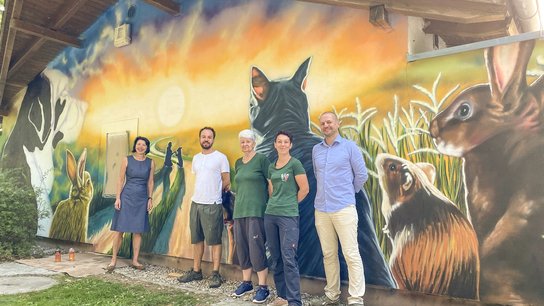 Tierheim Neugestaltung Fassade Rammerstorfer