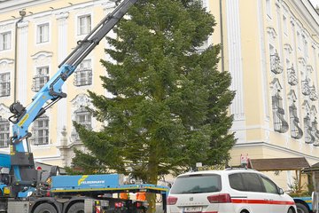 Weihnachtsbaum 2022