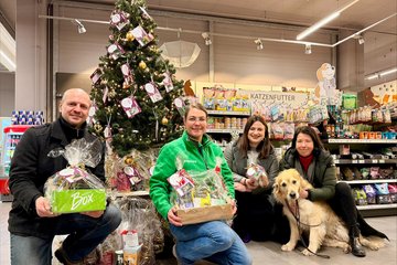 Spenden Tierheim 2025 Rammerstorfer