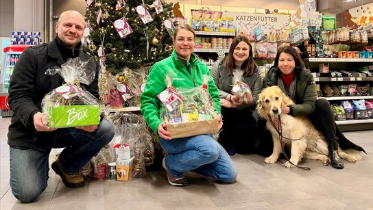 Spenden Tierheim 2025 Rammerstorfer