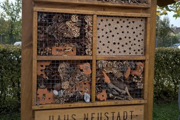 Insektenhotel Haus Neustadt