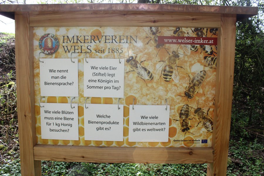 Bienenerlebnisweg - Imkerverein Wels