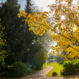 Volksgarten im Herbst