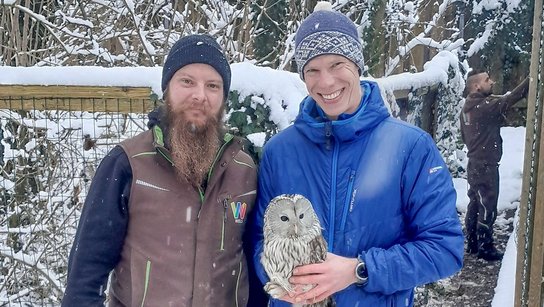 Tiergarten Habichtskauz