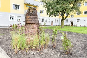 Eröffnung Park Vogelweiderplatz