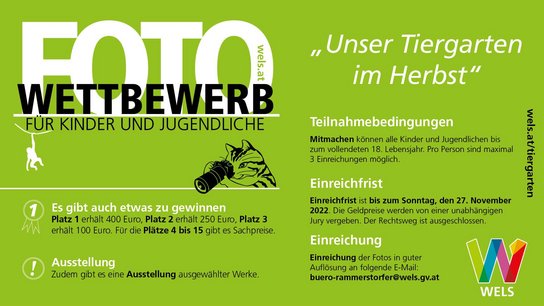 Tiergarten Fotowettbewerb