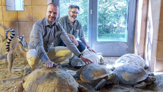 Rammerstorfer Gajdon Weltschildkrötentag