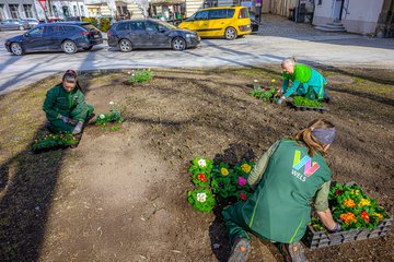 Stadtgärtnerei Frühling 2026