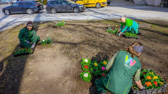 Stadtgärtnerei Frühling 2026