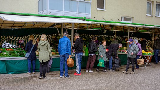 Wochenmarkt Osternest Neue Beschicker