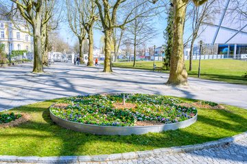 Stadtgärtnerei Frühlingsblumen Volksgarten