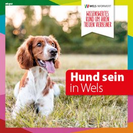 Hundebroschüre Titelbild