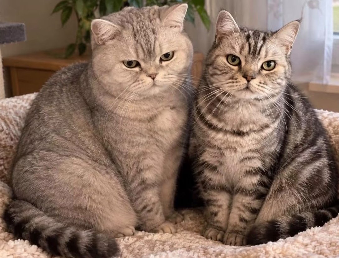 Foto von Mutzi und Burli