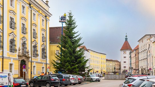 Christbaum Stadtplatz
