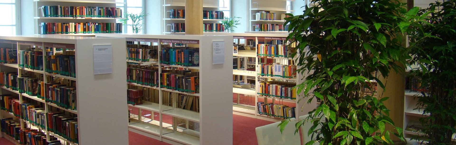 Stadtbücherei - Bücherregale