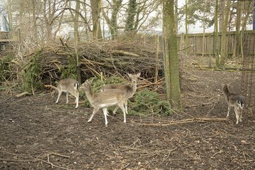 Tiergarten Wels