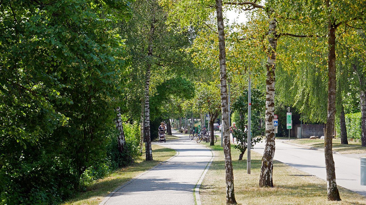 Treppelweg an der Traun