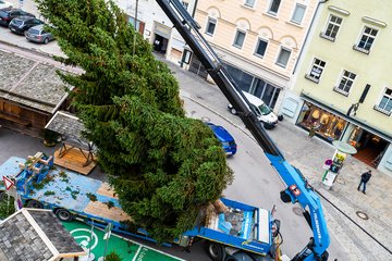 Weihnachtsbaum 2021 Anlieferung