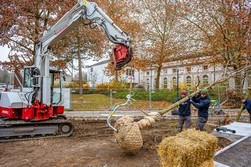 Erste Baumpflanzung Volksgarten