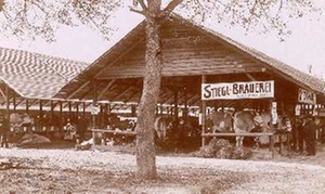 Rinderschau, Volksfest 1908