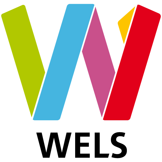 Logo der Stadt Wels - Version 2022